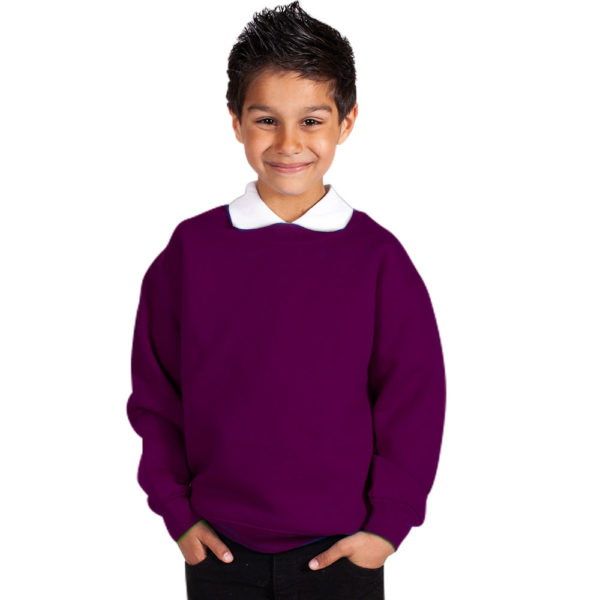 Kids Premium Hi-Spec Set-In Crew Sweatshirt TSK01-purple